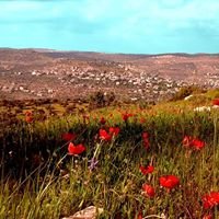 كفرعين - Kafr Ein chat bot