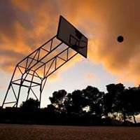 احراج مدارس السموع - البخاري والثانوية chat bot