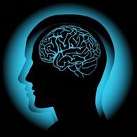 ثقافة بوت chat bot