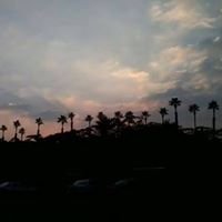 كلمات من حياتى chat bot