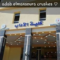 Adab Elmansoura Crushes أداب المنصورة كراشيز chat bot