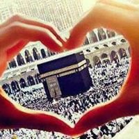 الاسلام هو الحل chat bot