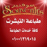 فلاش انتر نت شوب chat bot
