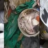 زيرو سحرة chat bot