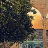 ڪـن مع الله ولآ تبآلـي chat bot