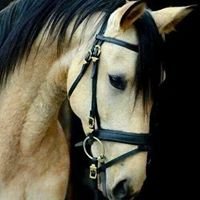 من اعذب الكلمات chat bot