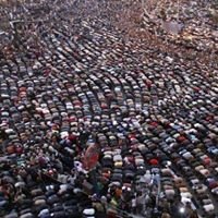 الاشمونين بلد العلماء chat bot