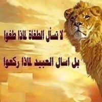 بلاد الزطلة chat bot