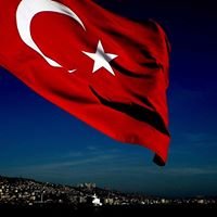 Yabancılar için türkçe ve arapça eğitim chat bot