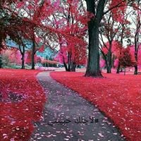 لأجلكِ حبيبتي chat bot