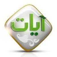 الجزائر chat bot