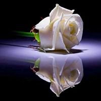 Loveinallah chat bot