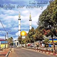قلقيلية بلدنا    Qalqilya our country chat bot