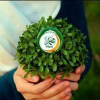 محمد قدوتي chat bot