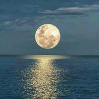 رساله ربانيه chat bot