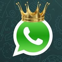 Whatsapp king chat bot