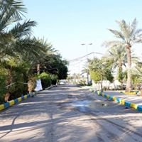 كلية السلام الجامعة الاهلية chat bot