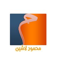 Mahmoud Lashin designs chat bot