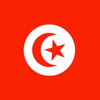 التوانسة chat bot