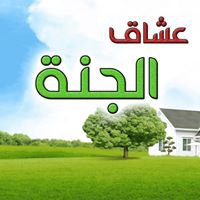 روائع - Show chat bot