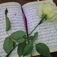 نتألمـ  لنتعلمـ 彡 chat bot