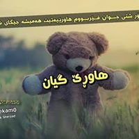 هاورێكه م به بێ تۆ ناژيم chat bot