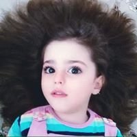 يوميات مُـسافر chat bot