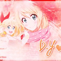 D.Y chat bot