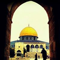القدس chat bot