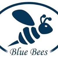 Blue Bees Dent Team 2018 chat bot