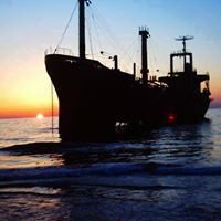 كل شيء عن مستغانم - T S M chat bot