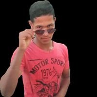 صقر الجنوب chat bot