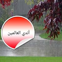 أندى العالمين chat bot