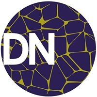 DN_Design Nation chat bot