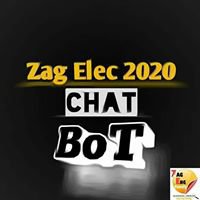 Zag Electric 2020 chat bot