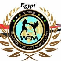 المكتب التنفيذى لإتحاد Wfm مصر chat bot