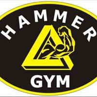 Hammer Gym chat bot