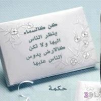 حكم و عبر جميلة chat bot