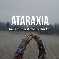 Atraxia - أتراكسيا chat bot