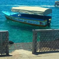 محمد محطه للقوارب الزجاجيه Mohammad Mahata For Rant Glass Boat chat bot