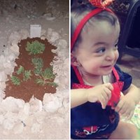 عايشه حمزه chat bot