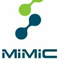 Mimic EGYPT chat bot