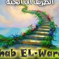 Tarek to elgana chat bot