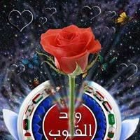 ورد القلوب chat bot