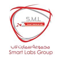 Smart Labs Group chat bot