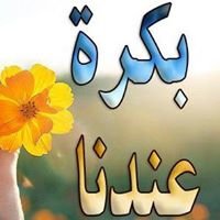 كورسات متخصصة chat bot