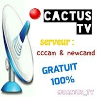 Cactus Tv Cccam & Newcamd chat bot