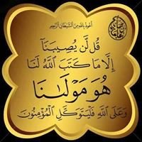 علي العبيدي chat bot