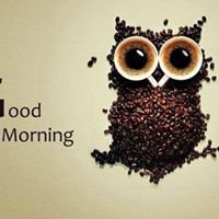 Morning text chat bot