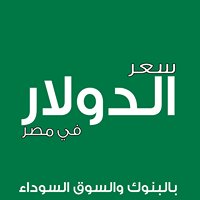 سعر الدولار في مصر chat bot